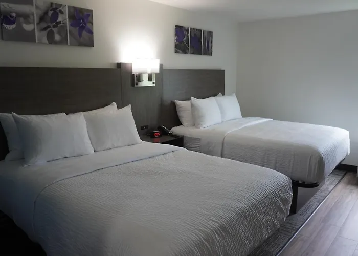 Americas Best Value Inn Franklin/Spring Hill